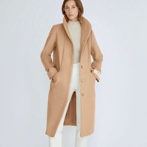 Aritzia / Wilfred The New Cocoon Long Coat